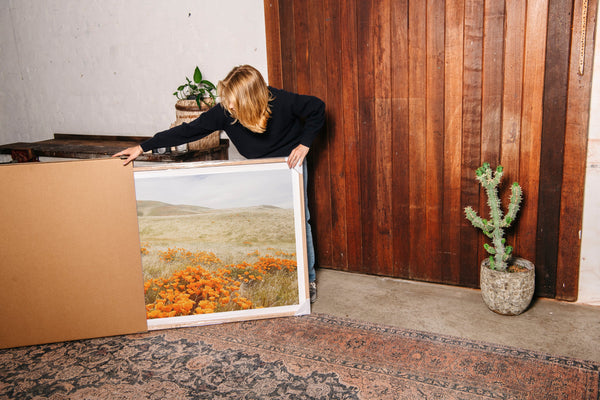 DESERT - Shutter and Frame