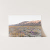 Desert Bloom - Shutter and Frame