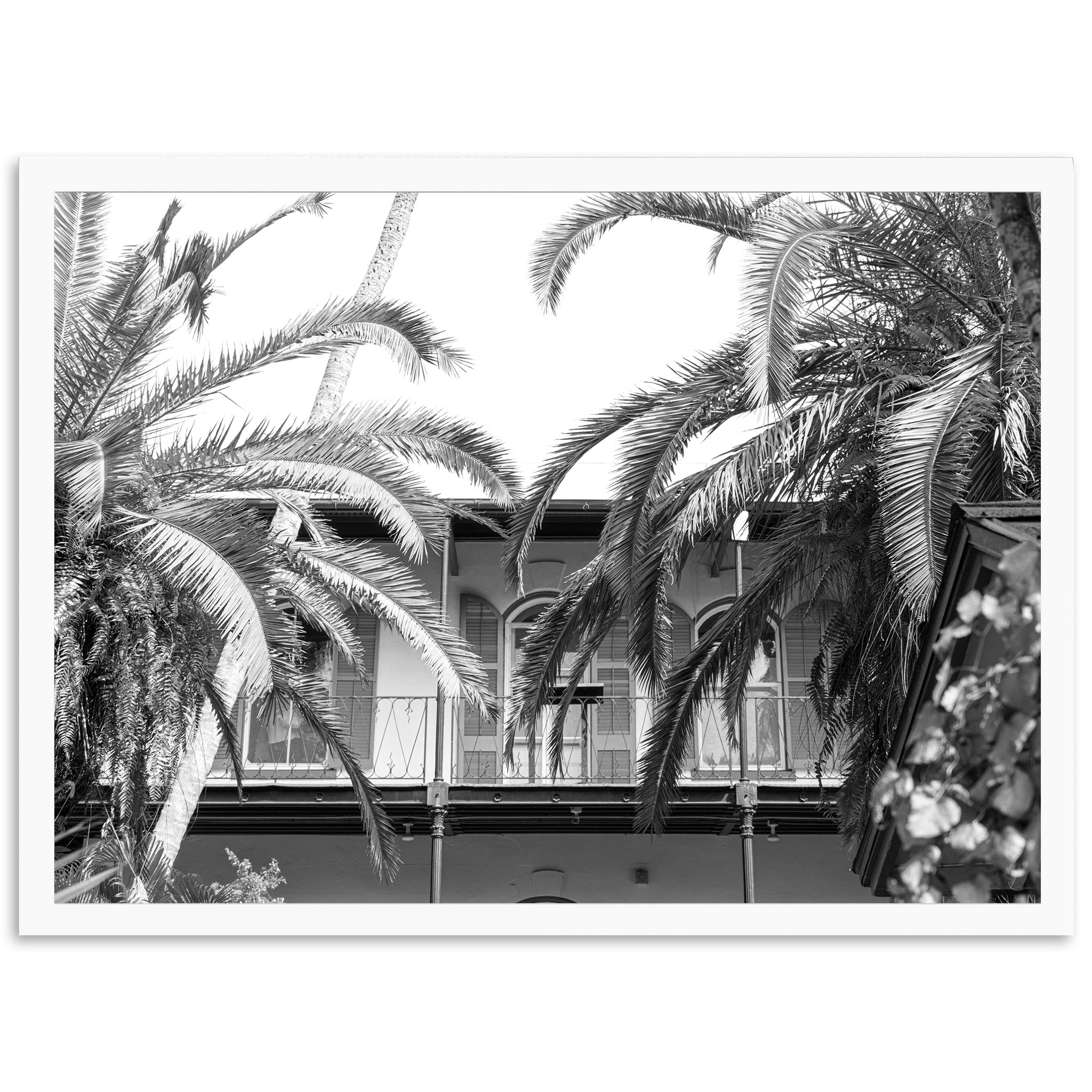 House of Hemingway - Shutter and Frame