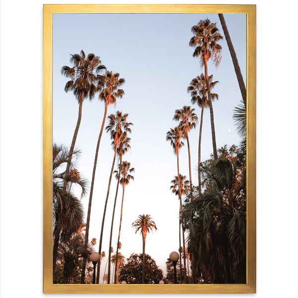 Beverly Hills - Shutter and Frame