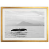 Tale of a Whale - Shutter and Frame