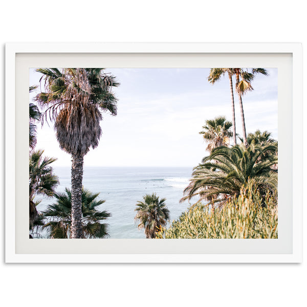 Swamis - Shutter and Frame