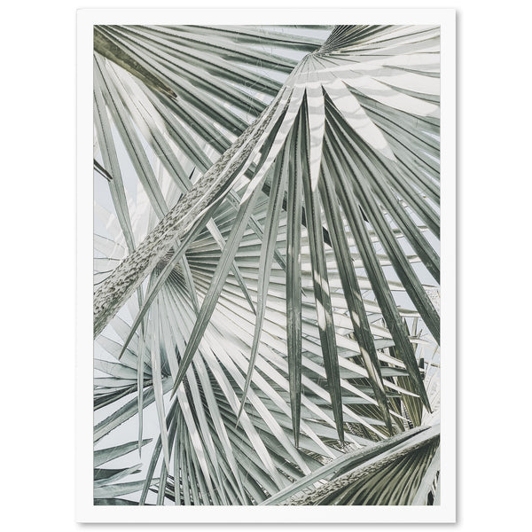 Palm Fan - Shutter and Frame