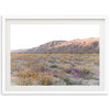 Desert Bloom - Shutter and Frame
