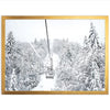 Winter Holiday - Shutter and Frame