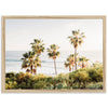 Destination - Shutter and Frame