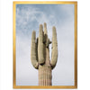 El Saguaro - Shutter and Frame