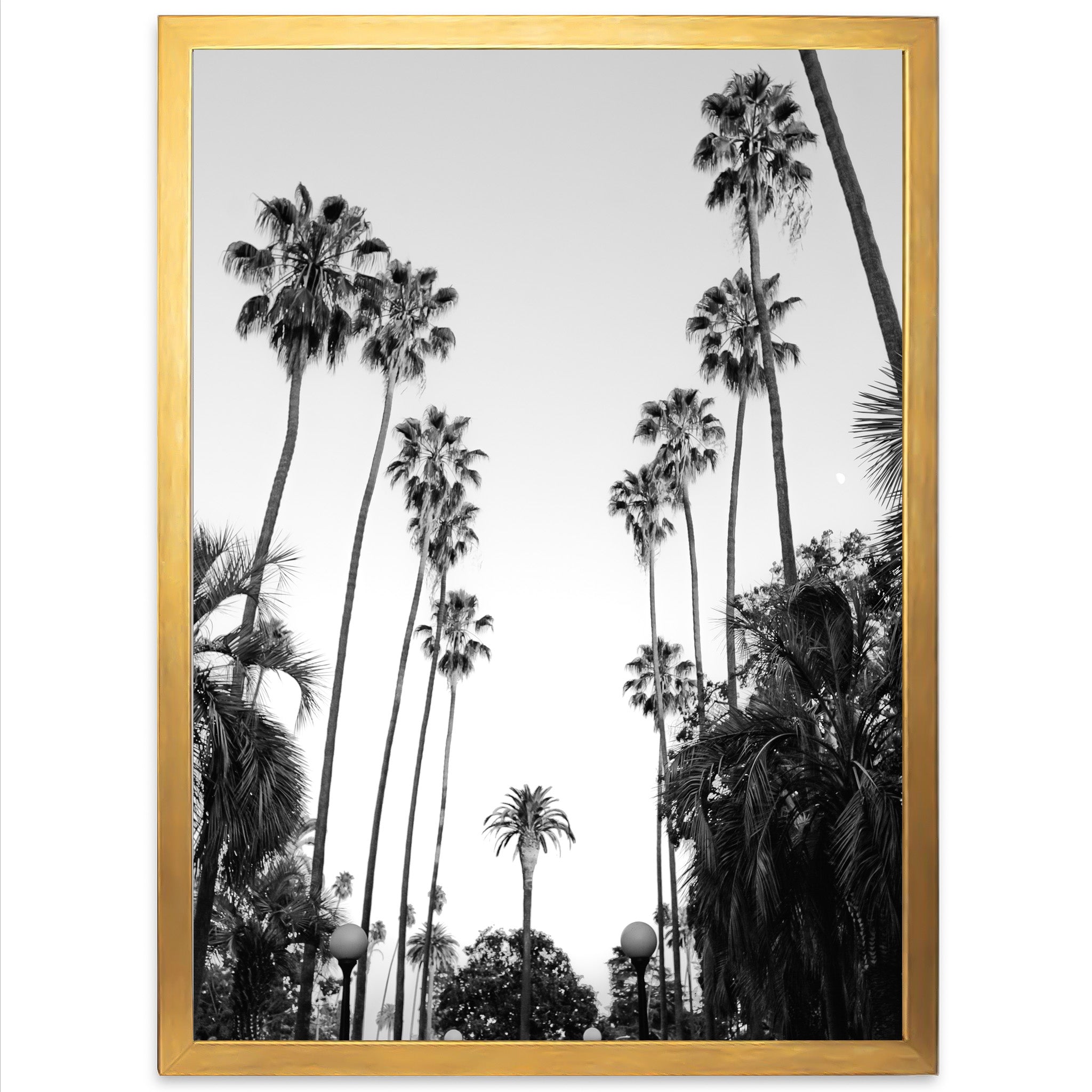Beverly Hills II - Shutter and Frame