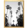 Beverly Hills II - Shutter and Frame