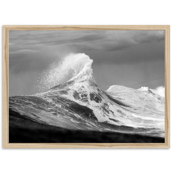 Pinnacle - Shutter and Frame