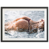 Splash - Shutter and Frame