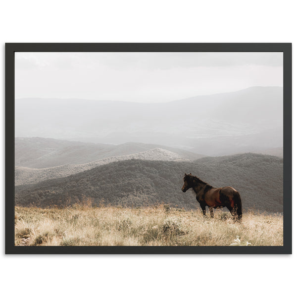 Open Range - Shutter and Frame