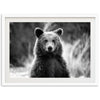 Bear II - Shutter and Frame