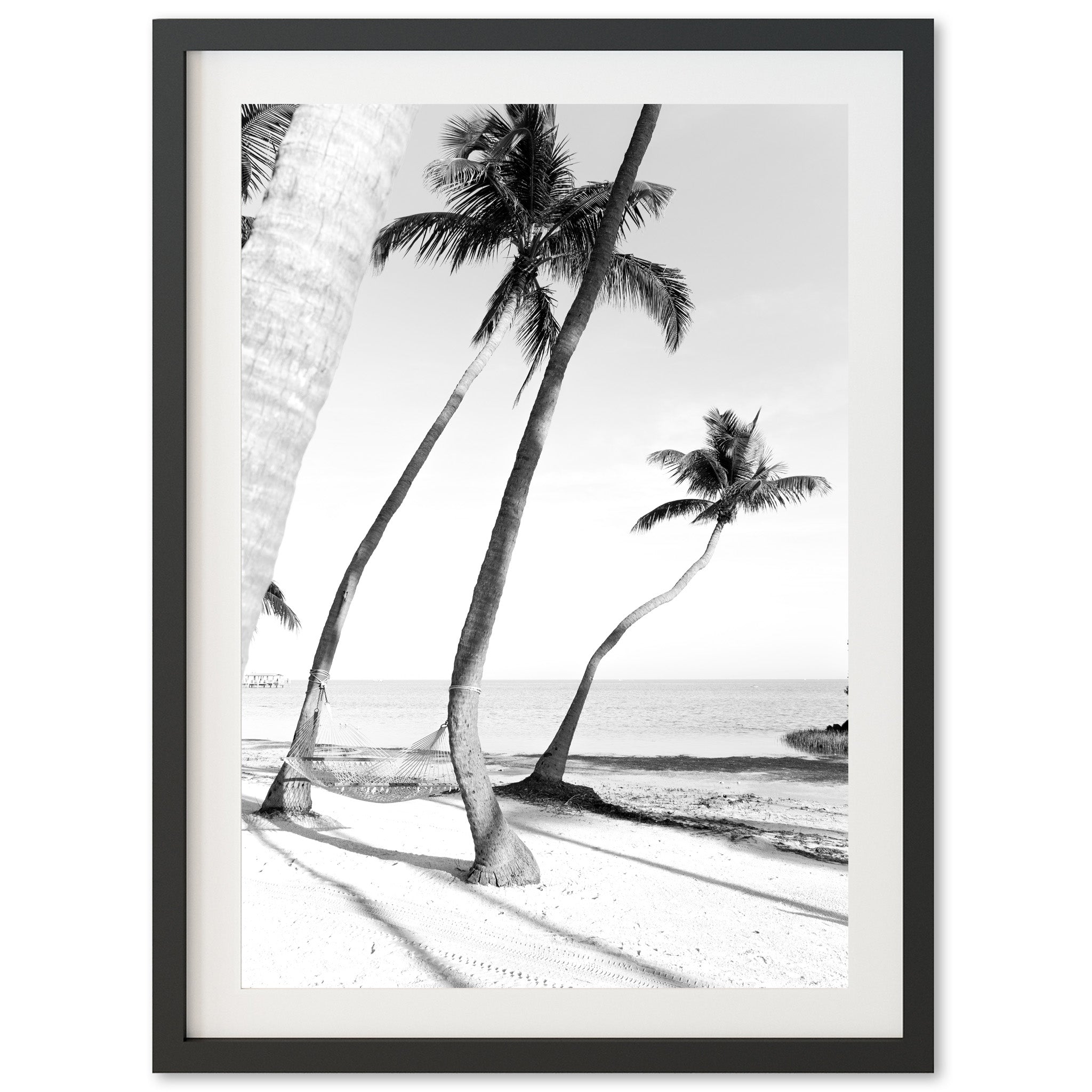 Hammock - Shutter and Frame