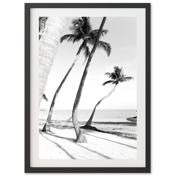 Hammock - Shutter and Frame