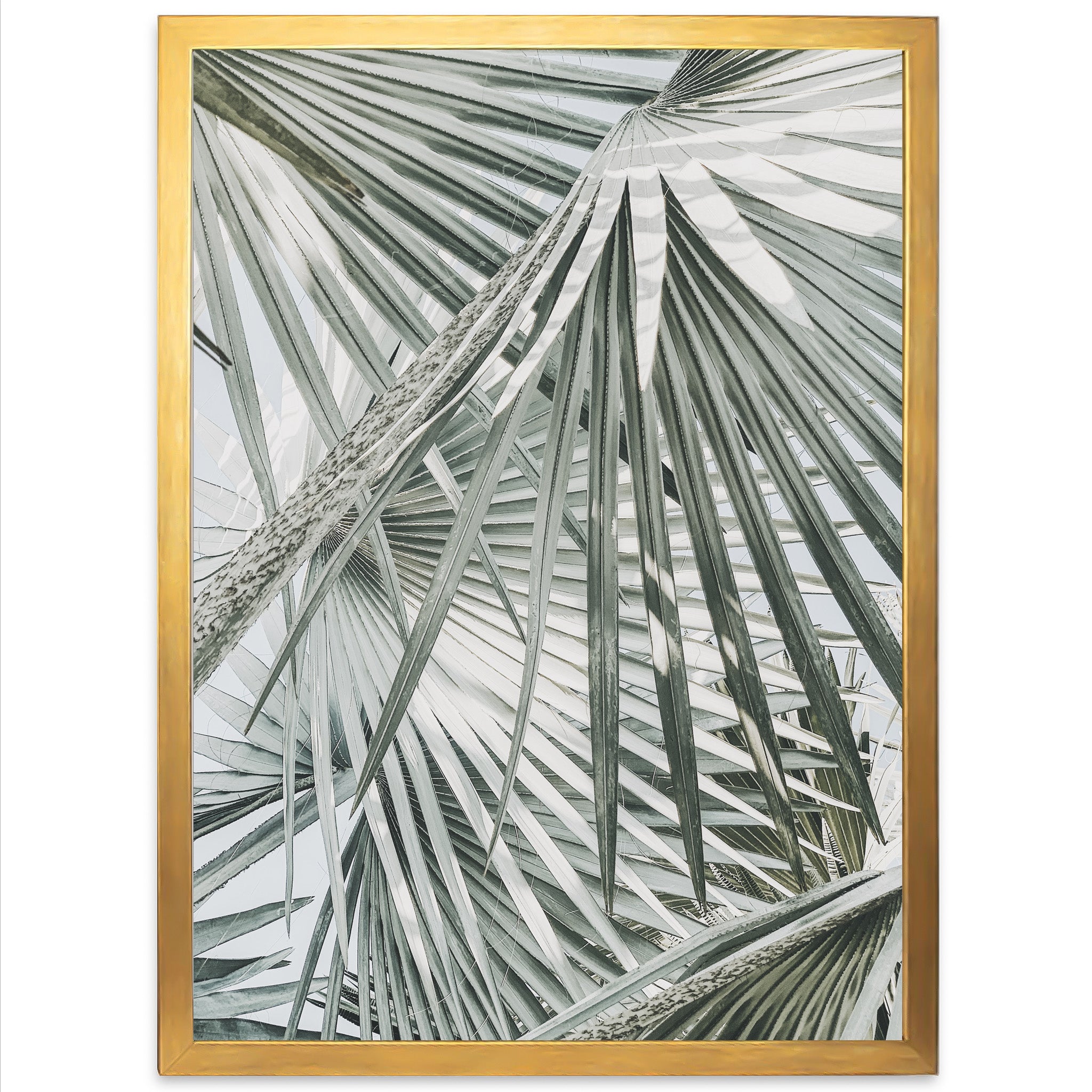 Palm Fan - Shutter and Frame