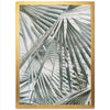 Palm Fan - Shutter and Frame