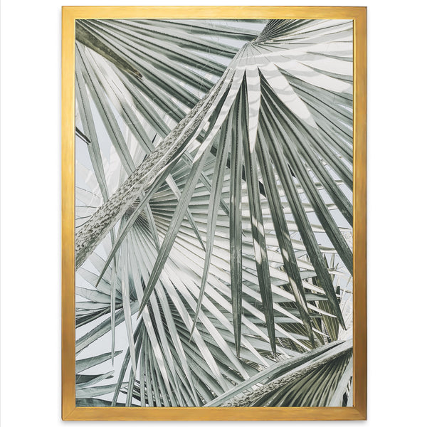 Palm Fan - Shutter and Frame
