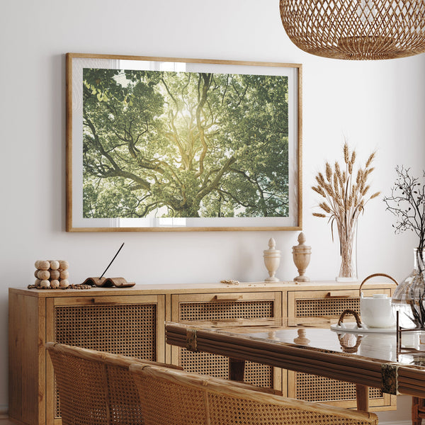 Tree of Life - Shutter and Frame
