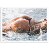 Splash - Shutter and Frame