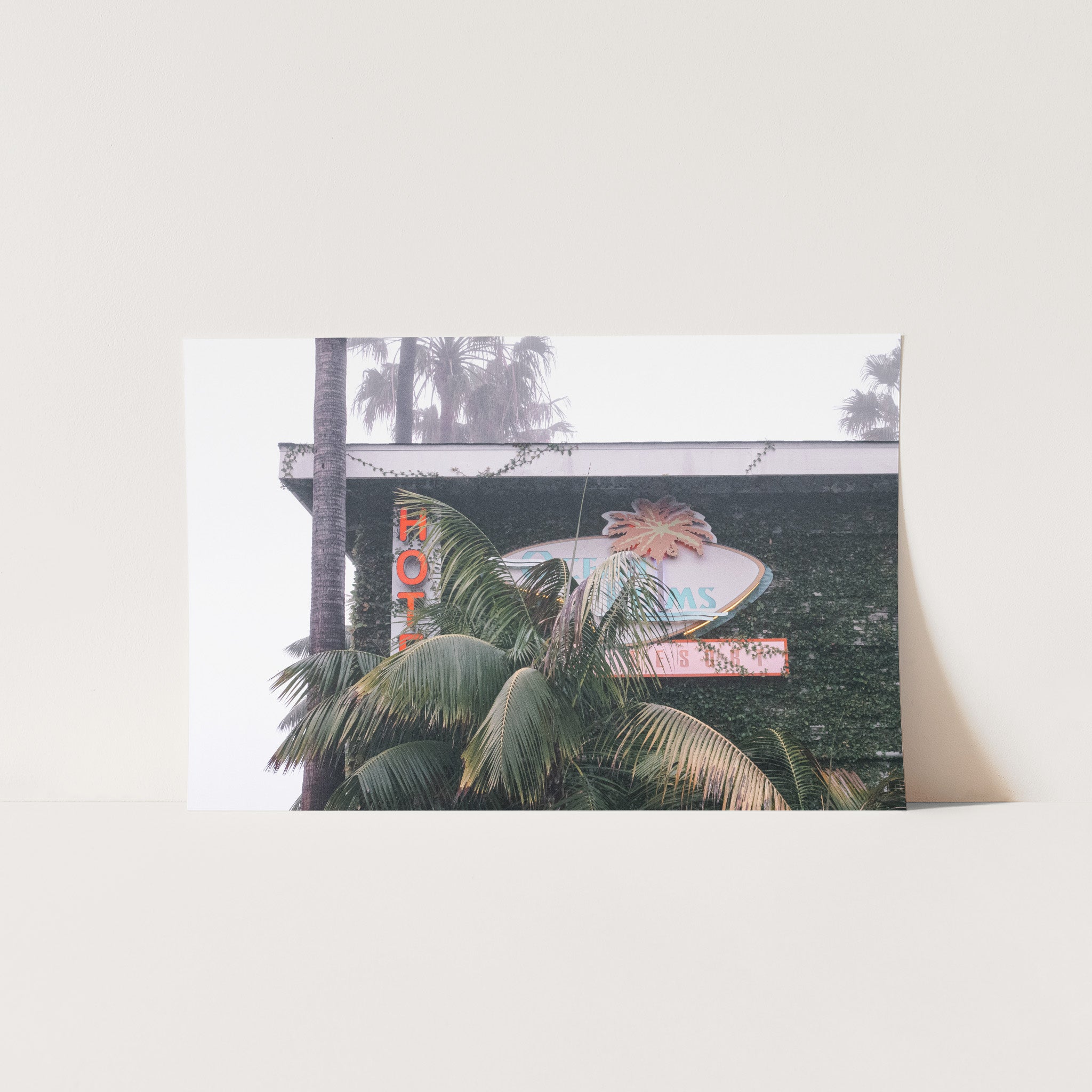 Beach Motel - Shutter and Frame