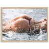 Splash - Shutter and Frame