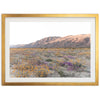 Desert Bloom - Shutter and Frame