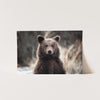 Bear - Shutter and Frame