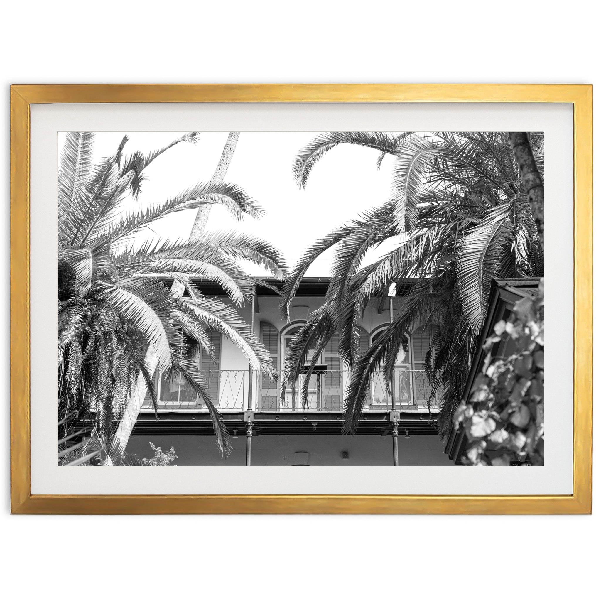 House of Hemingway - Shutter and Frame