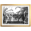House of Hemingway - Shutter and Frame