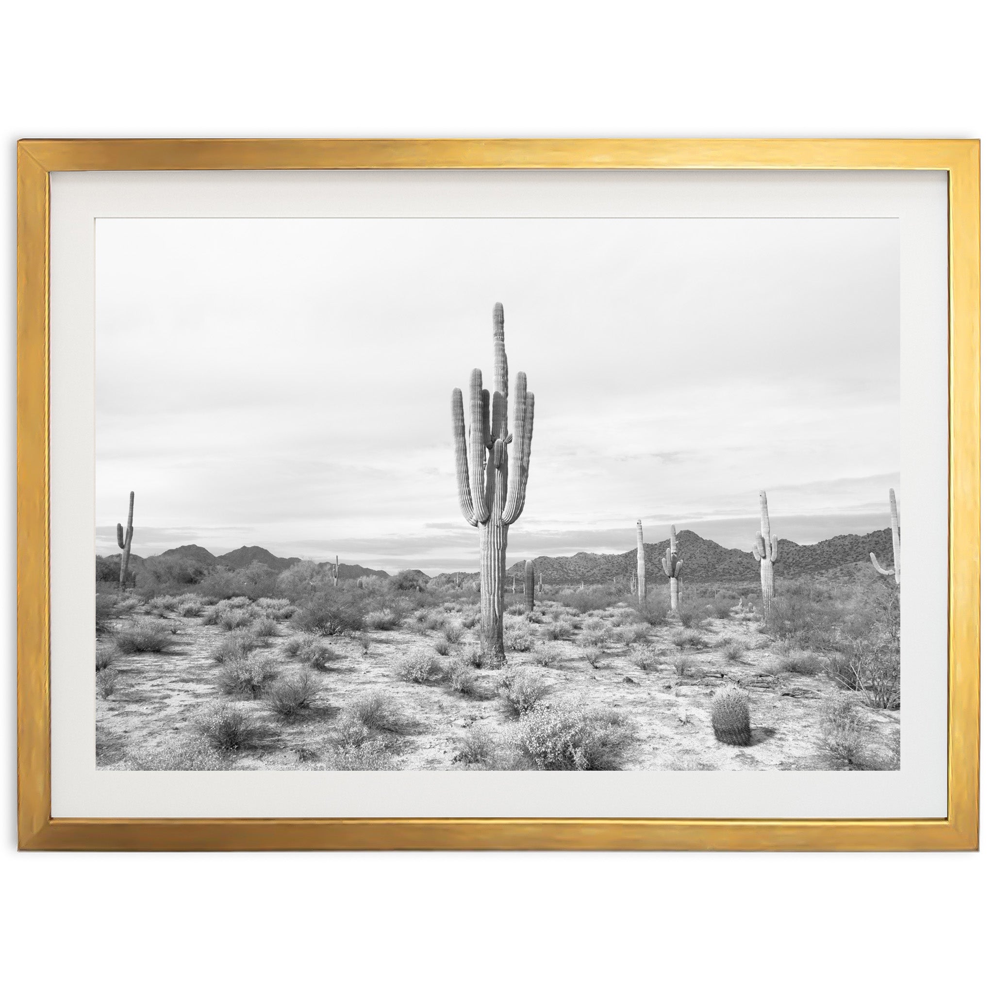 Sonora II - Shutter and Frame
