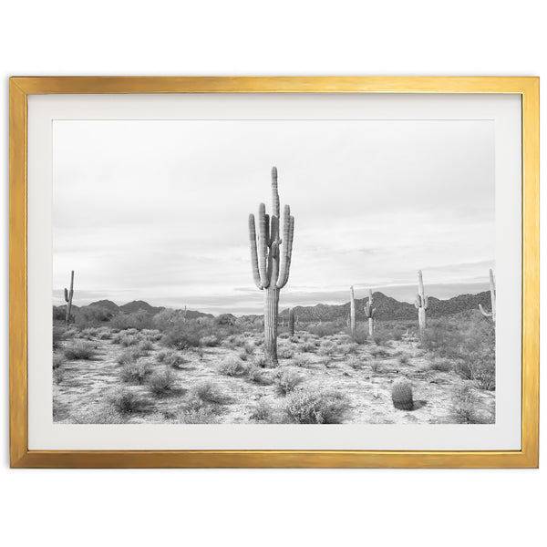 Sonora II - Shutter and Frame