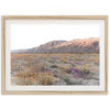 Desert Bloom - Shutter and Frame