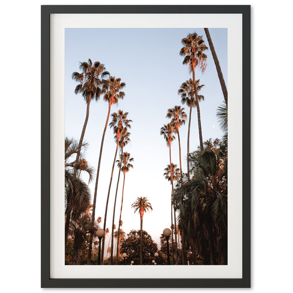 Beverly Hills - Shutter and Frame
