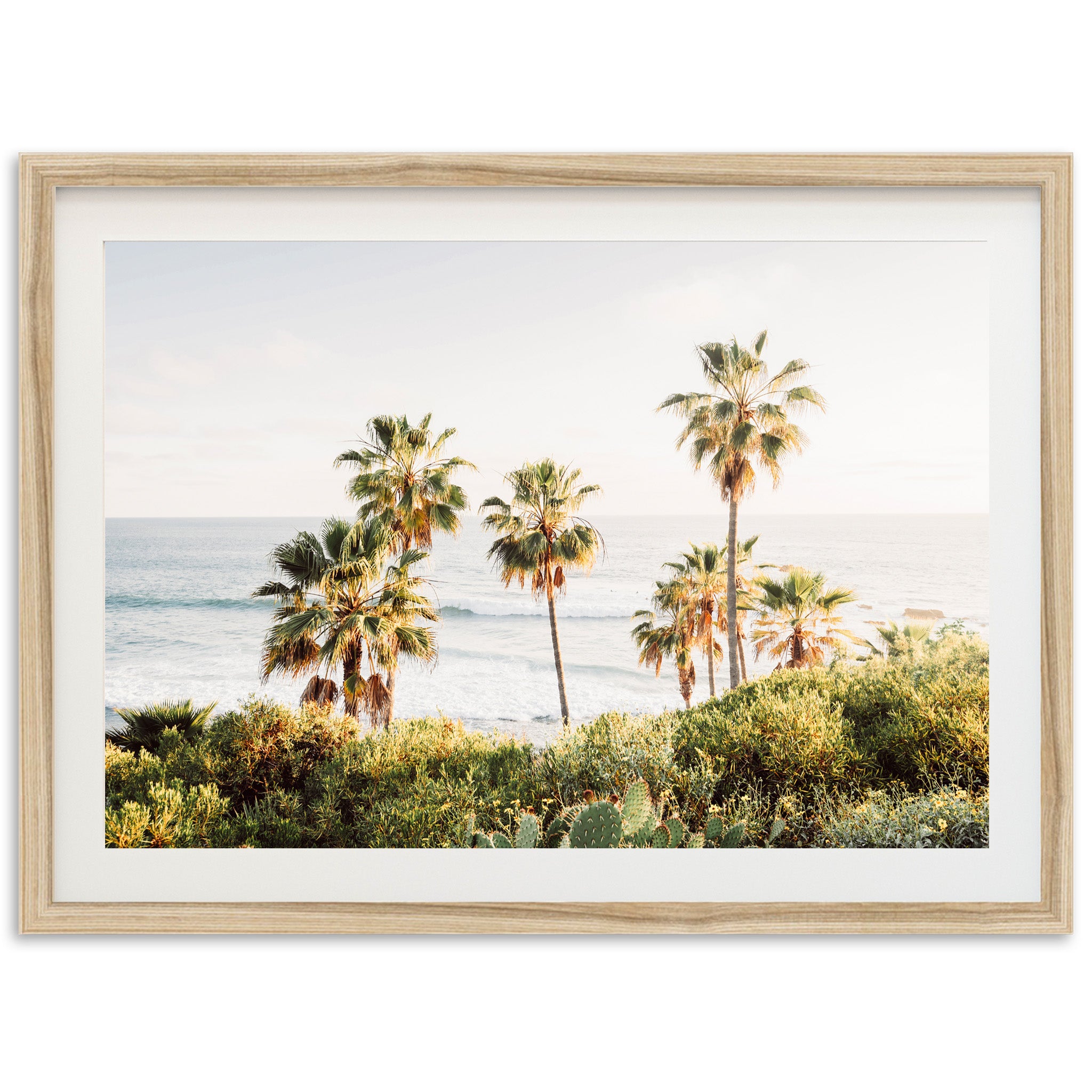 Destination - Shutter and Frame