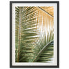 Shades of Green - Shutter and Frame
