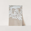 Sea Foam - Shutter and Frame