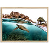 Marine Room - Shutter and Frame