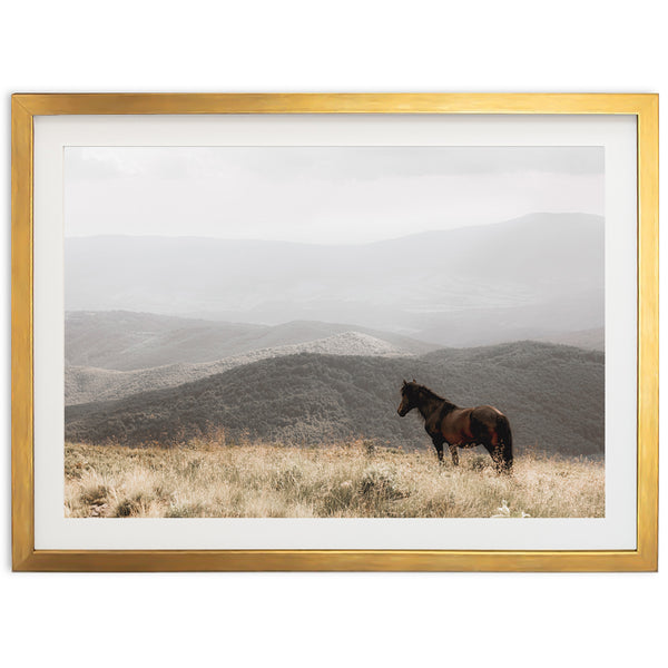 Open Range - Shutter and Frame