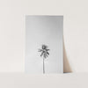 One Palm - Shutter and Frame