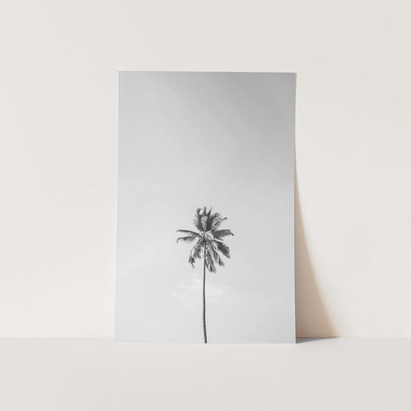 One Palm - Shutter and Frame