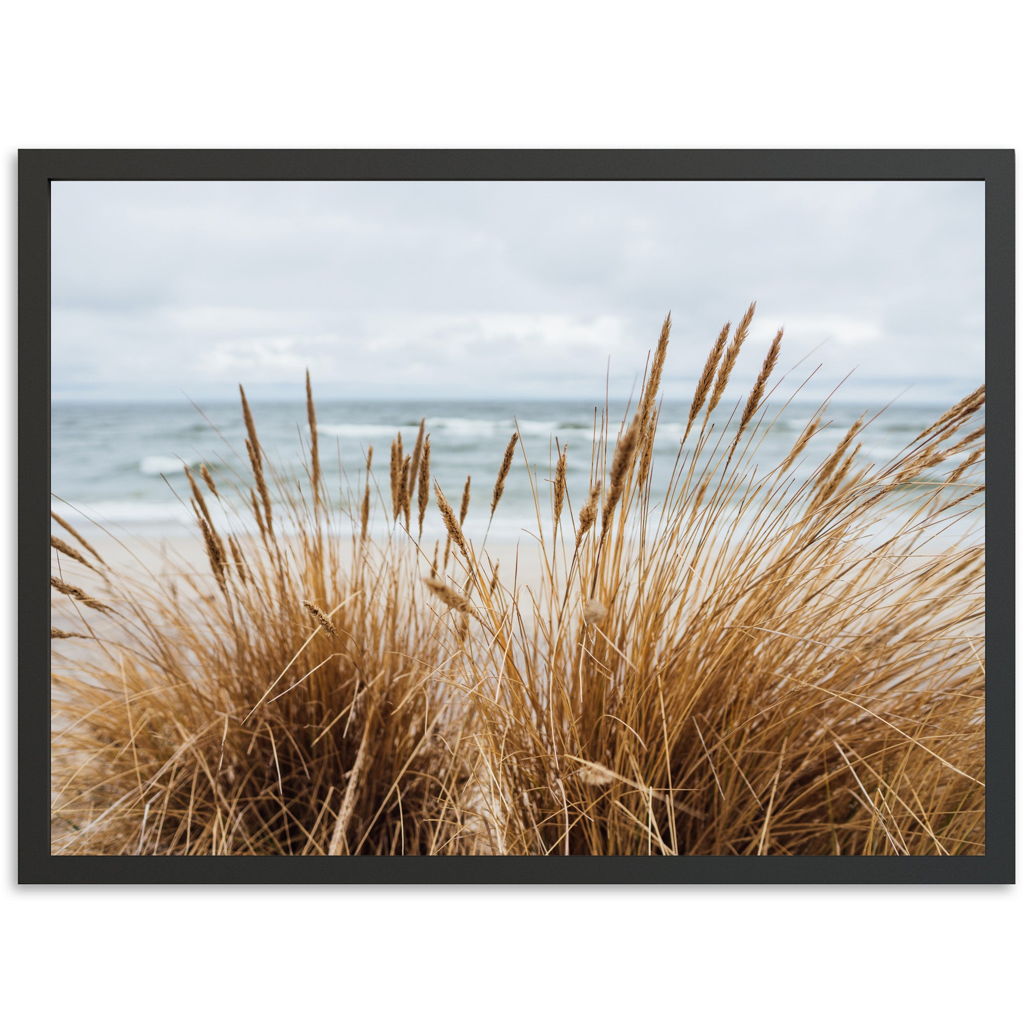 Boho Beach - Shutter and Frame