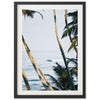 Bali - Shutter and Frame
