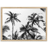 Under the Palms - Shutter and Frame