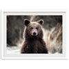 Bear - Shutter and Frame