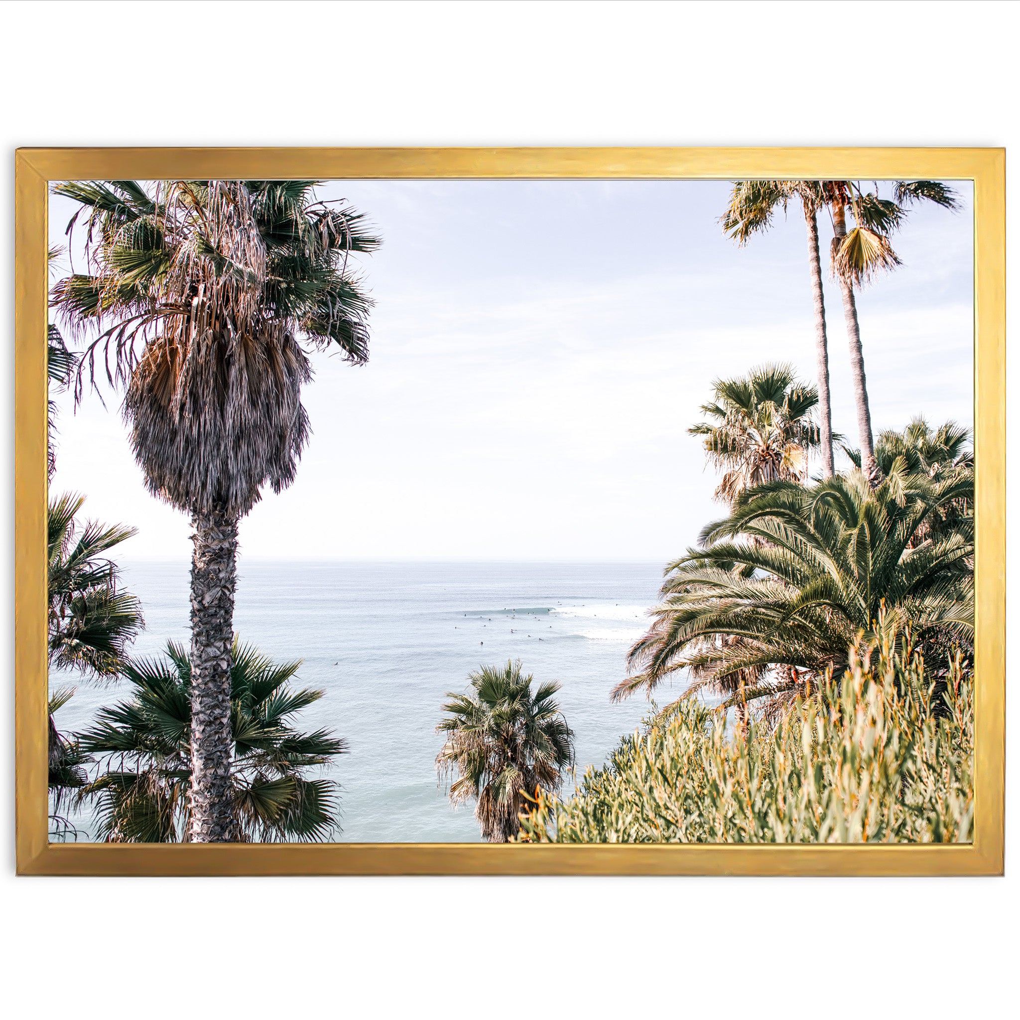 Swamis - Shutter and Frame