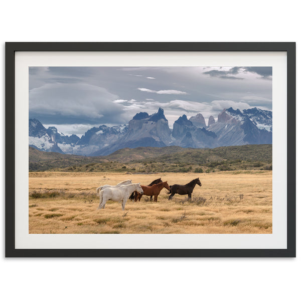 Wild Patagonia - Shutter and Frame