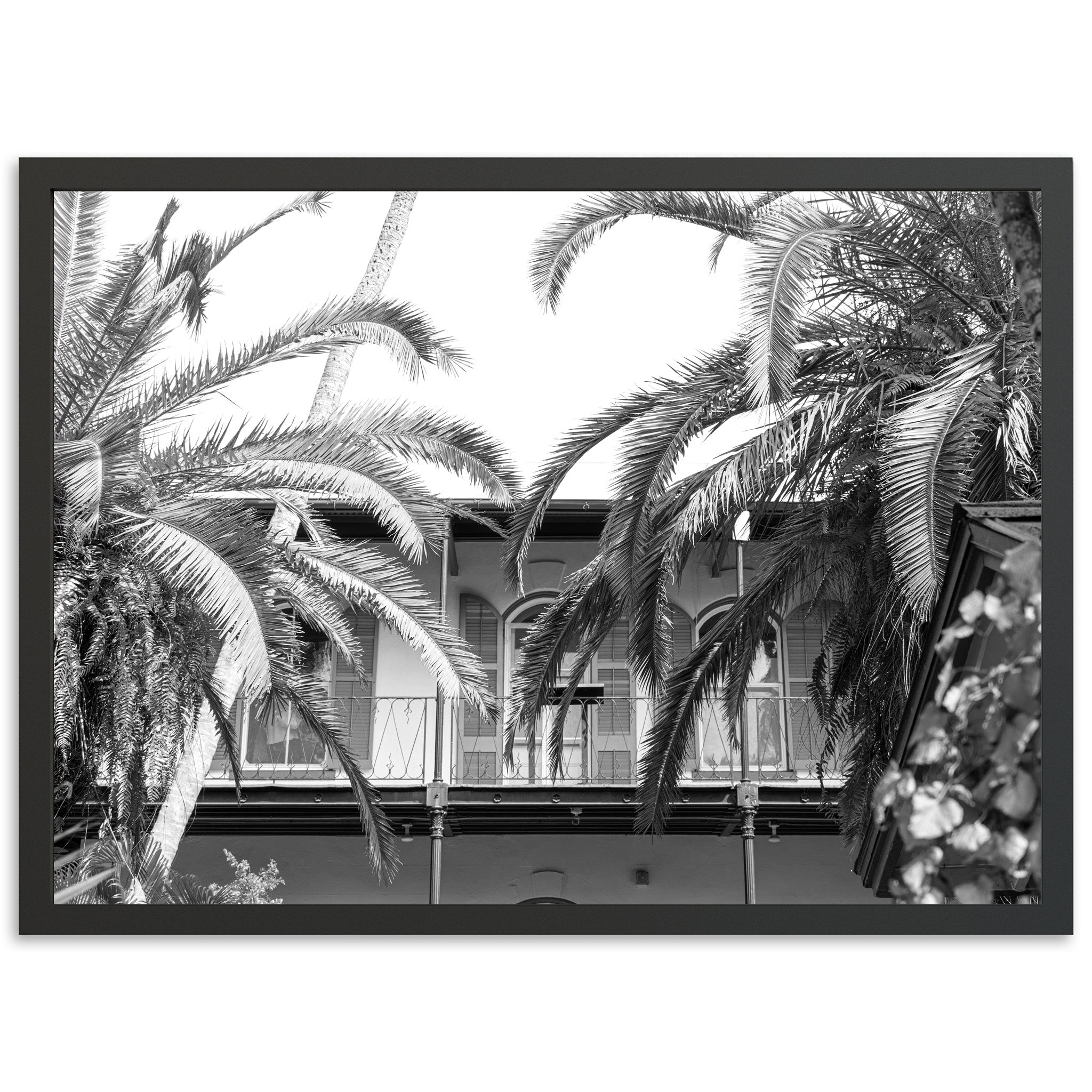 House of Hemingway - Shutter and Frame