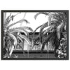 House of Hemingway - Shutter and Frame