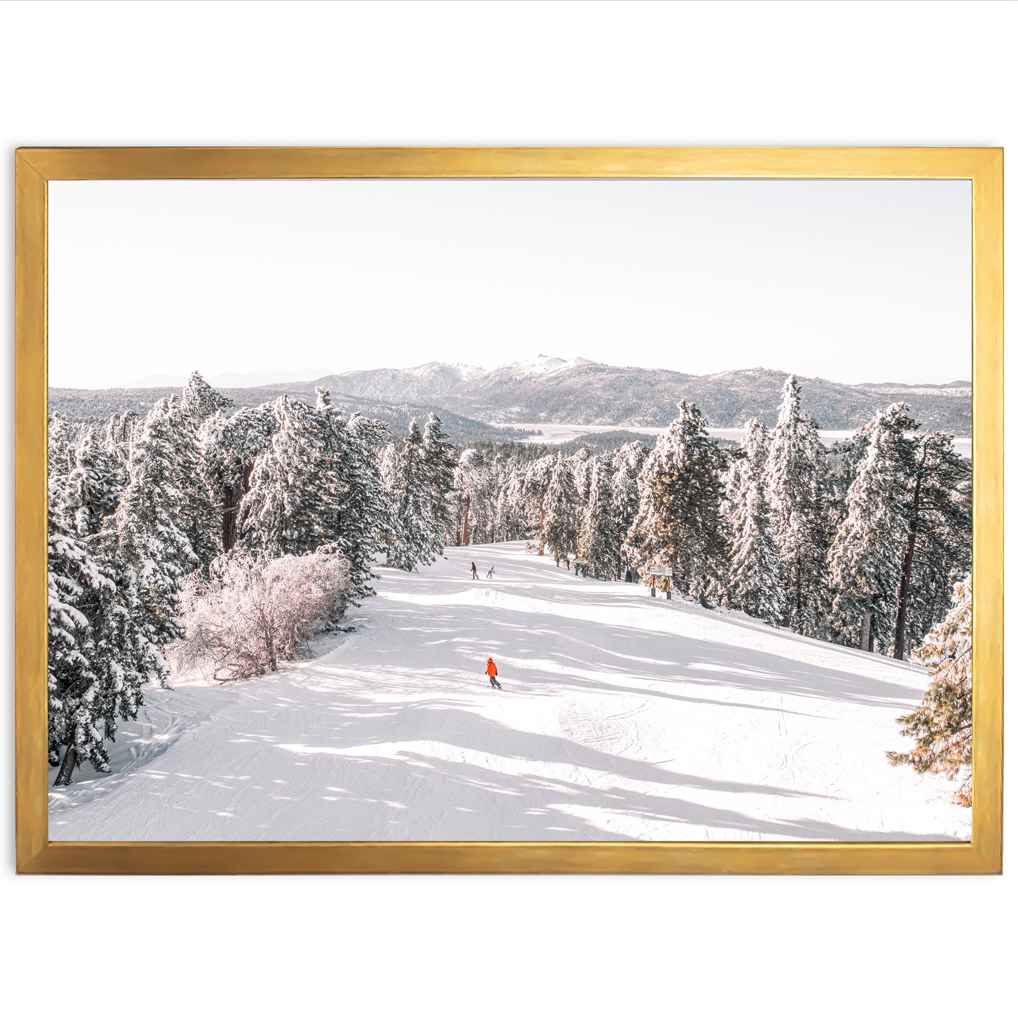 Snow Day - Shutter and Frame